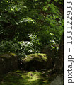 苔の生えた岩 133122933