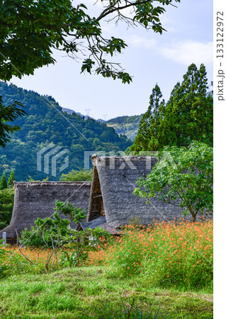 五箇山菅沼合掌造り集落 五箇山菅沼合掌造り集落 133122972