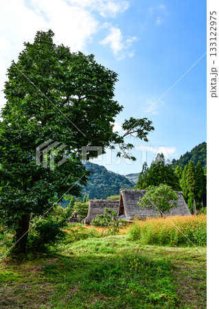五箇山菅沼合掌造り集落 133122975