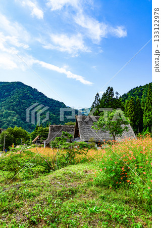 五箇山菅沼合掌造り集落 133122978