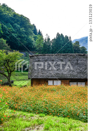 五箇山菅沼合掌造り集落 133123019