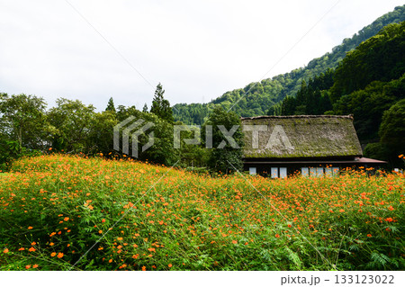 五箇山菅沼合掌造り集落 133123022