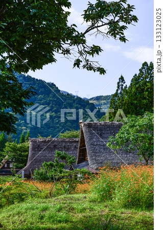 五箇山菅沼合掌造り集落 133123025