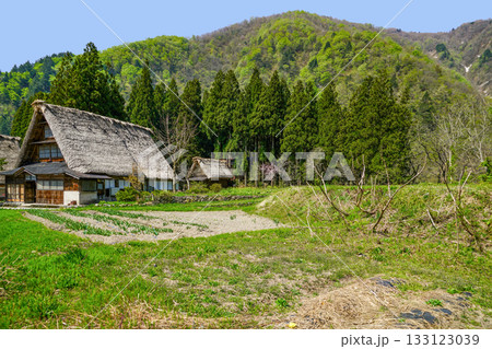 五箇山菅沼合掌造り集落 133123039