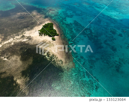 Aerial view of green mangrove island in turquoise shallow sea near coastline. Siargao, Philippines. Aerial view of green mangrove island in turquoise shallow sea near coastline. Siargao, Philippines. 133123084