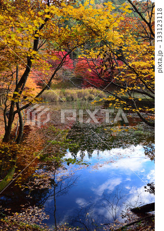 紅葉見ごろの豊田タカドヤ湿地 133123118