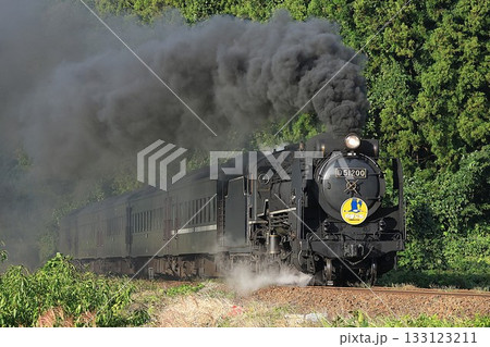 【JR西日本】D51形＋35系 快速「SLやまぐち号」（山口線：津和野〜船平山） 133123211