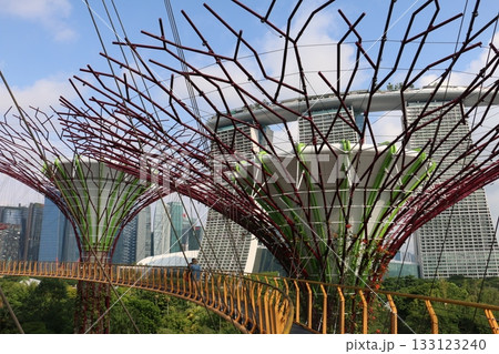 シンガポールの新名所ガーデンズ・バイ・ザ・ベイ 133123240