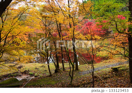 紅葉見頃の豊田タカドヤ湿地 133123453
