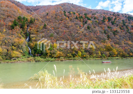 秋の絶景　紅葉する最上川を進む舟下り　白糸の滝　山形県 133123558