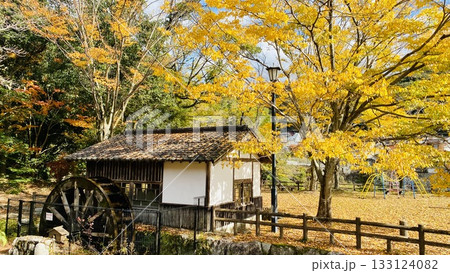 紅葉に包まれた水車小屋 紅葉に包まれた水車小屋 133124082