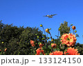 花畑と飛行機 133124150