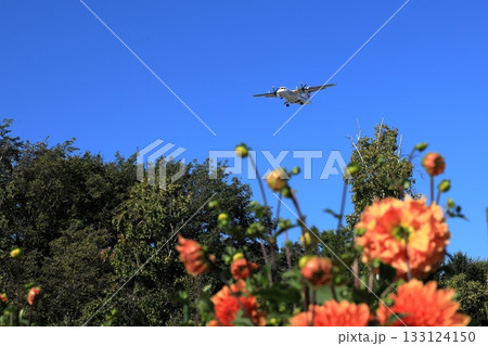 花畑と飛行機 花畑と飛行機 133124150
