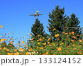 花畑と飛行機 133124152