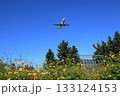 花畑と飛行機 133124153