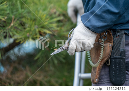 Japanese Gardener 133124211