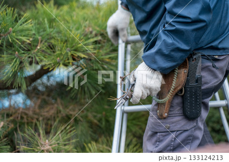 Japanese Gardener 133124213