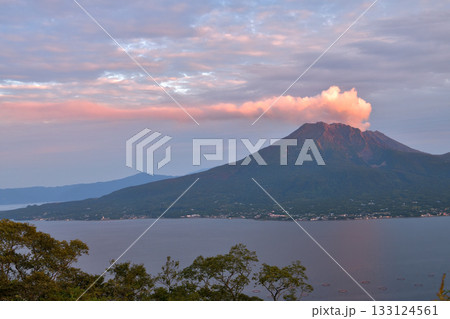 鹿児島 杉山公園付近より夕日に照らされた噴煙たなびく桜島を望む 鹿児島 杉山公園付近より夕日に照らされた噴煙たなびく桜島を望む 133124561