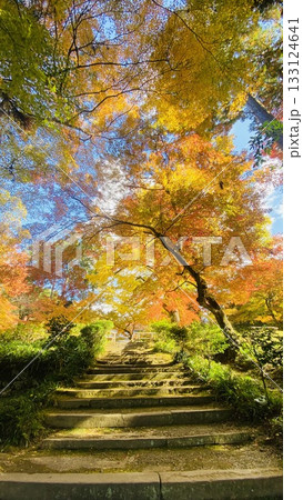 上り階段と紅葉と青空 133124641