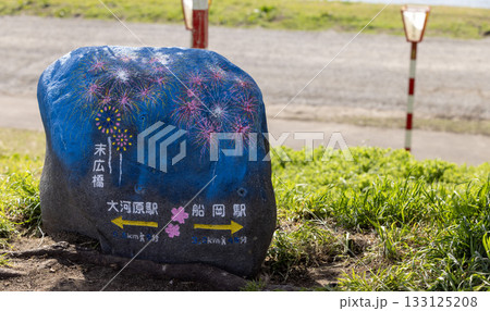 a colorful stone painting on shibata, miyagi near sendai, to introduce the cherry blossom of Hitome senbonzakura. a colorful stone painting on shibata, miyagi near sendai, to introduce the cherry blossom of Hitome senbonzakura. 133125208