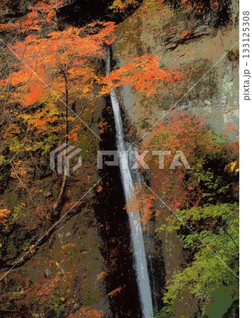 晩秋の朝の線ヶ滝（afr20251112062348） 133125308