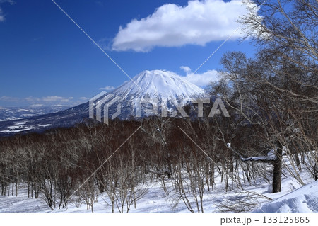 真冬の青空にそびえる羊蹄山 真冬の青空にそびえる羊蹄山 133125865