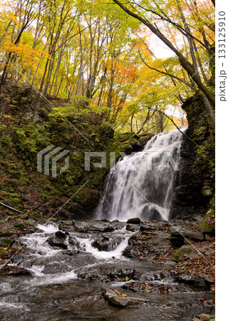 紅葉の北軽井沢、浅間大滝の紅葉 紅葉の北軽井沢、浅間大滝の紅葉 133125910