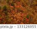 紅葉する山肌 133126055