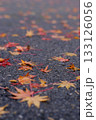 アスファルトに落ちた紅葉 133126056