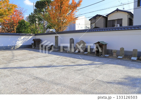 足立区立郷土博物館 ＆ 足立区立東渕江庭園 133126503