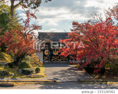 秋の醍醐寺 秋の醍醐寺 133126562