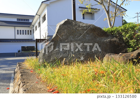 足立区立郷土博物館 & 足立区立東渕江庭園 足立区立郷土博物館 & 足立区立東渕江庭園 133126580