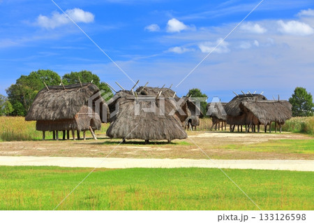 【大分県】晴天の弥生のムラ安国寺集落遺跡公園 133126598
