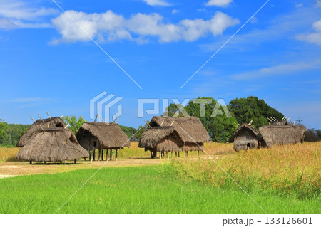 【大分県】晴天の弥生のムラ安国寺集落遺跡公園 133126601