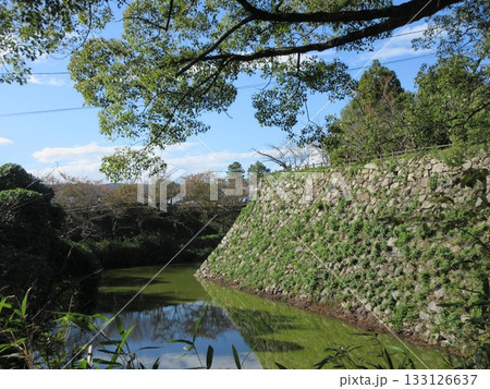 大和郡山城　快晴の内堀 133126637