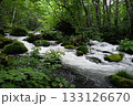 十和田湖から流れる奥入瀬川の両岸は樹木に覆われ岩の間を流れる清流は白く泡立つ綺麗な奥入瀬渓流の風景 133126670