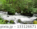 十和田湖から流れる奥入瀬川は、急流で泡立ち流れる綺麗な奥入瀬渓流の風景 133126671
