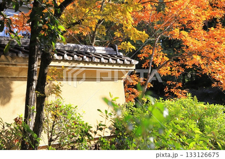 足立区立郷土博物館 ＆ 足立区立東渕江庭園 133126675