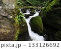 十和田湖から流れる奥入瀬川の岩場の間から小滝になって流れる落ちる綺麗な奥入瀬渓流の風景 133126692