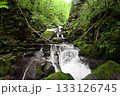 十和田湖から流れる奥入瀬川の支流から段になって流れ込む綺麗な奥入瀬渓流の風景 133126745
