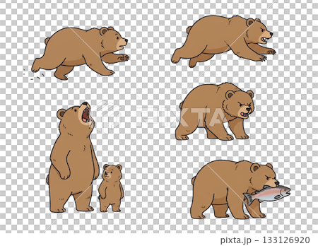 可愛的熊插畫集，棕熊各種姿勢，手繪風格，動物 133126920