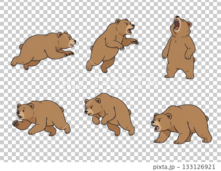 可愛的熊插畫集，棕熊各種姿勢，手繪風格，動物 133126921