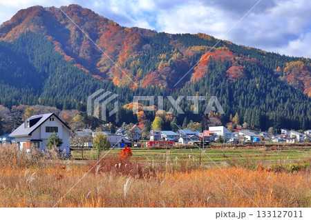 紅葉した山あいの集落を走る列車 紅葉した山あいの集落を走る列車 133127011