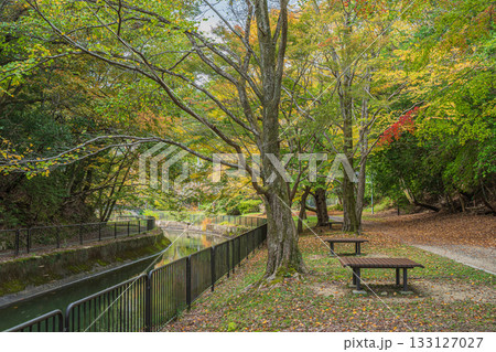 琵琶湖疏水　京都市 133127027