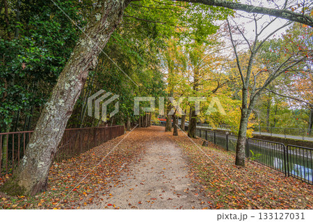 琵琶湖疏水　京都市 133127031