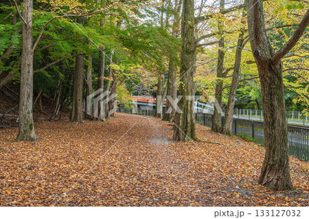 琵琶湖疏水　京都市 133127032