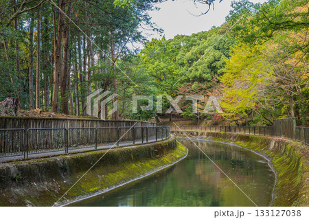 琵琶湖疏水　京都市 133127038