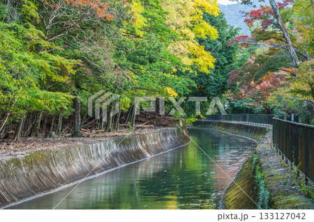 琵琶湖疏水　京都市 133127042