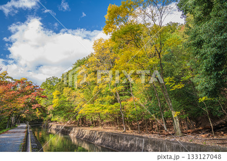 琵琶湖疏水　京都市 133127048