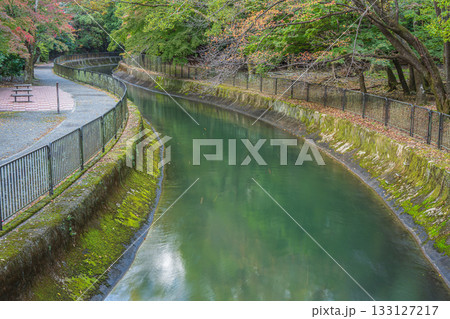 琵琶湖疏水　京都市 133127217